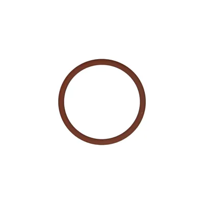 O-Ring für Motorentlüfter