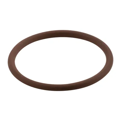 O-Ring für Motorentlüfter