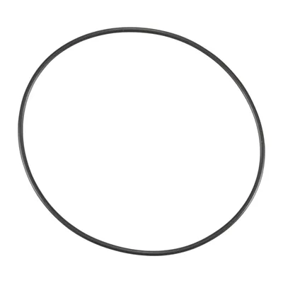 Dichtring am Luftfiltergehäuse