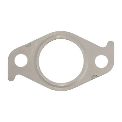 Dichtung AGR-Ventilflansch
