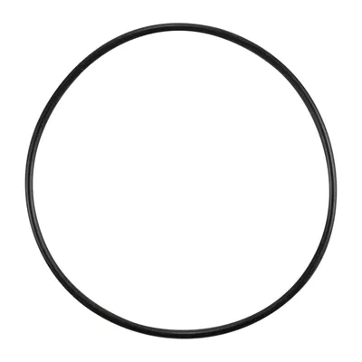 O-Ring Thermostat