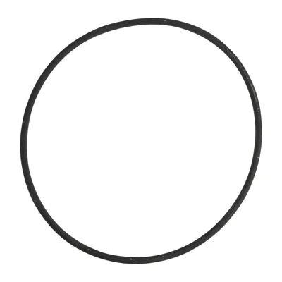 O-Ring Thermostat