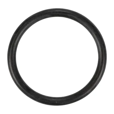 O-Ring Iveco OE (17282280)