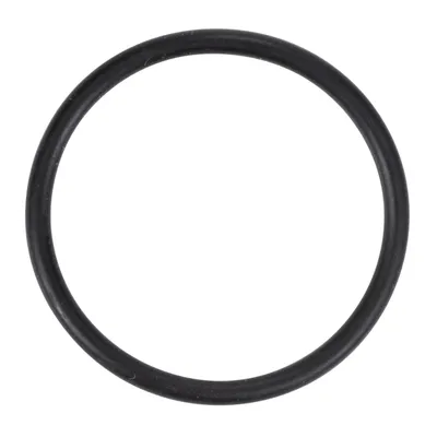 Dichtring O-Ring