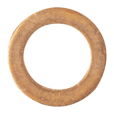 Dichtring