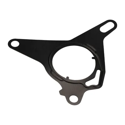 Dichtung Vakuumpumpe Original FCA (71769211)