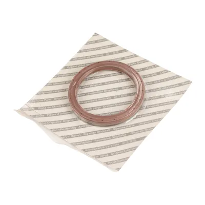 Wellendichtring Kurbelwelle hinten OE (60567605)
