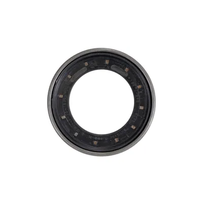 Wellendichtring Differential