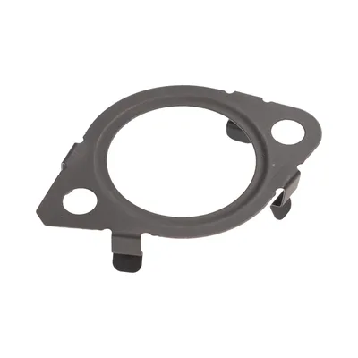 Dichtung, Kettenspanner
