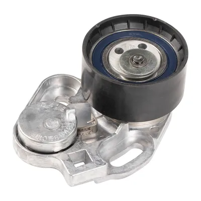 Riemenspanner DAYCO
