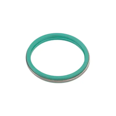 Ringdichtung Nockenwellengehäuse