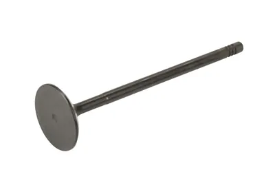 Einlassventil