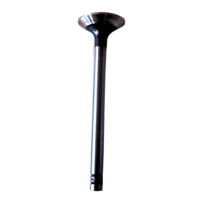 Auslaßventil 25 X 6 105 mm 45°