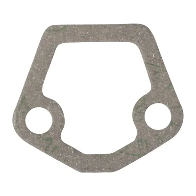 Benzinpumpendichtung Fire