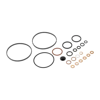 Kraftstoffpumpen Kit