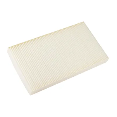 Innenraumfilter (Antipollenfilter)