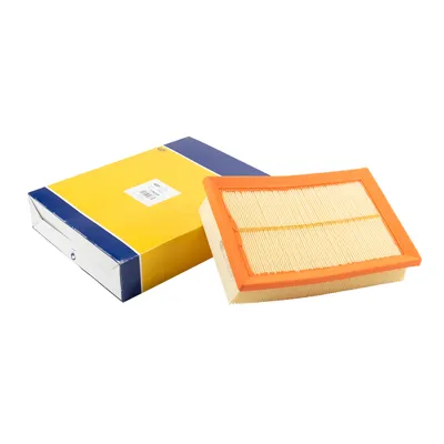 Luftfilter eckig Magneti Marelli L=246 B=169 H=57 mm