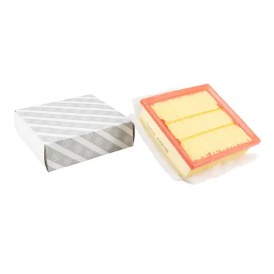 Luftfiltereinsatz eckig AG Automotive