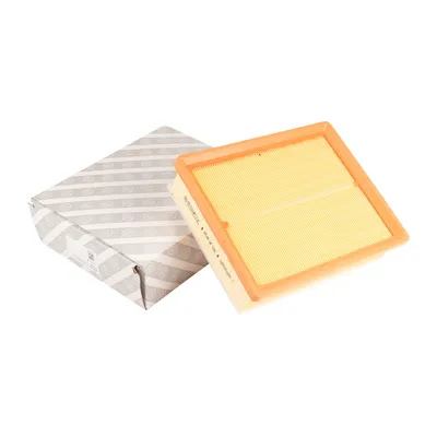 Luftfiltereinsatz AG Automotive L=258 B=208 H=73 mm
