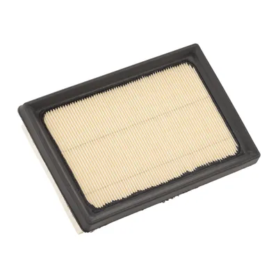 Luftfiltereinsatz PSA OE (1616368880)