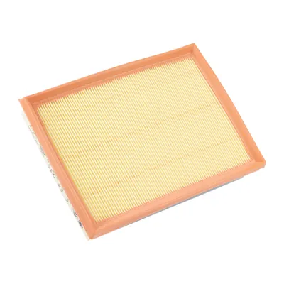 Luftfiltereinsatz PSA OE (9813908880)