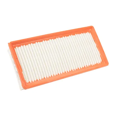 Luftfilter PSA OE (1444.XF)