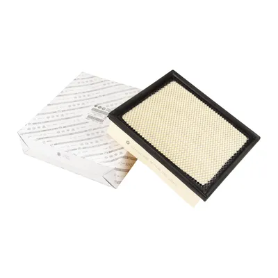 Luftfiltereinsatz eckig L=245 B=223 H=55