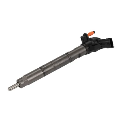 Einspritzdüse NEU 3,0 F1C E5
