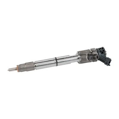 Einspritzdüse NEU BOSCH