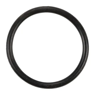 Ansaugkrümmerdichtring 33,015 x 3,15 Original PSA (1336W4)