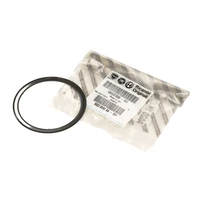 Dichtung Auspuffkrümmer PSA OE (1607440680)