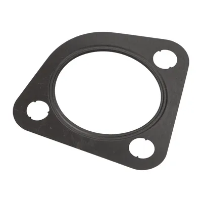 Dichtung EGR Ventil original