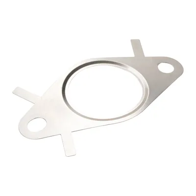 AGR-Ventildichtung Iveco OE(5801923077)