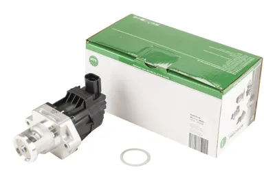 AGR / EGR-Ventil (Abluft-Umlaufsystems)