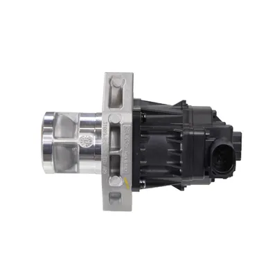 EGR-Ventil (Abluft-Umlaufsystems)