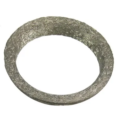 Auspuffdichtung /Linsenring vorn