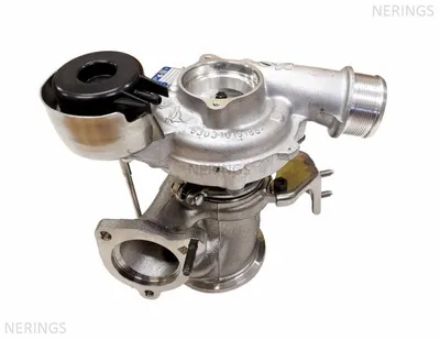 Turbocharger new (BorgWarner-OEM)-EEDE