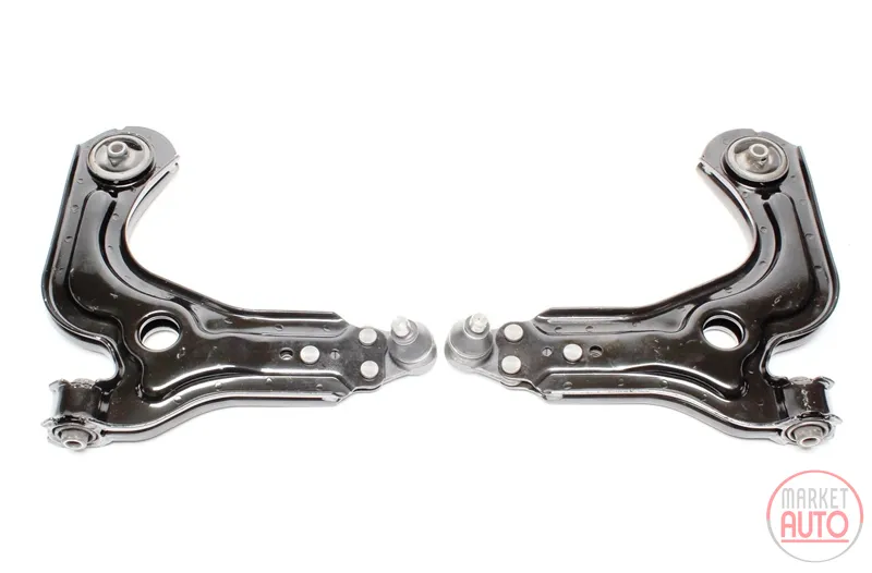 Set de huesos pequeños Ford · Mazda