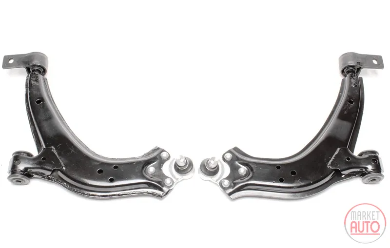 Set de huesos pequeños Citroën · Peugeot