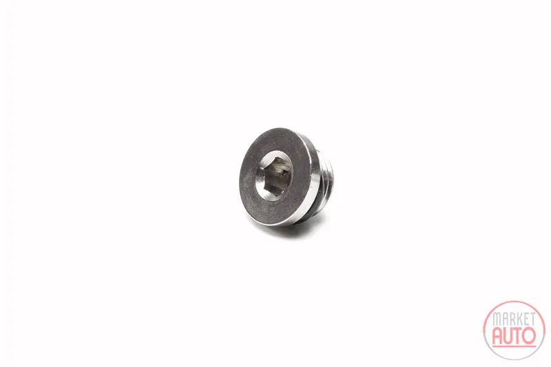 Plug 1/4" macho