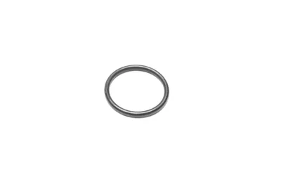 Anillo de sellado 20-2,2 mm