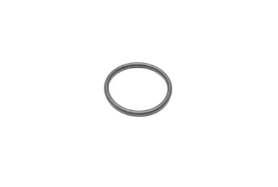 Anillo de sellado 22-2,2 mm