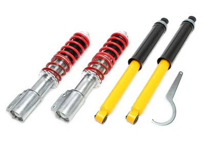 Suspensión de coilover - Versión Profunda Renault